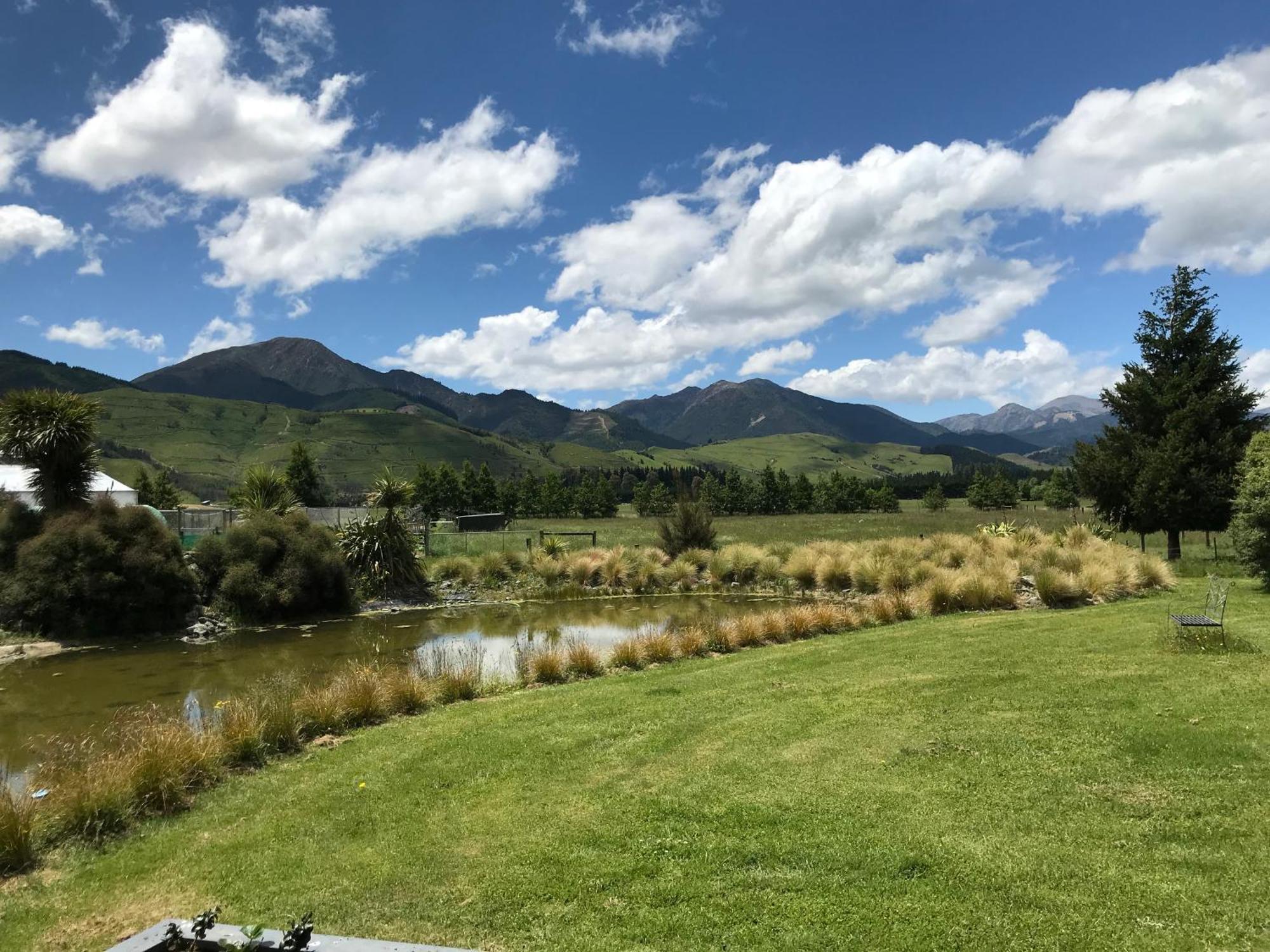 Woodbank Road Escape Villa Hanmer Springs Eksteriør bilde