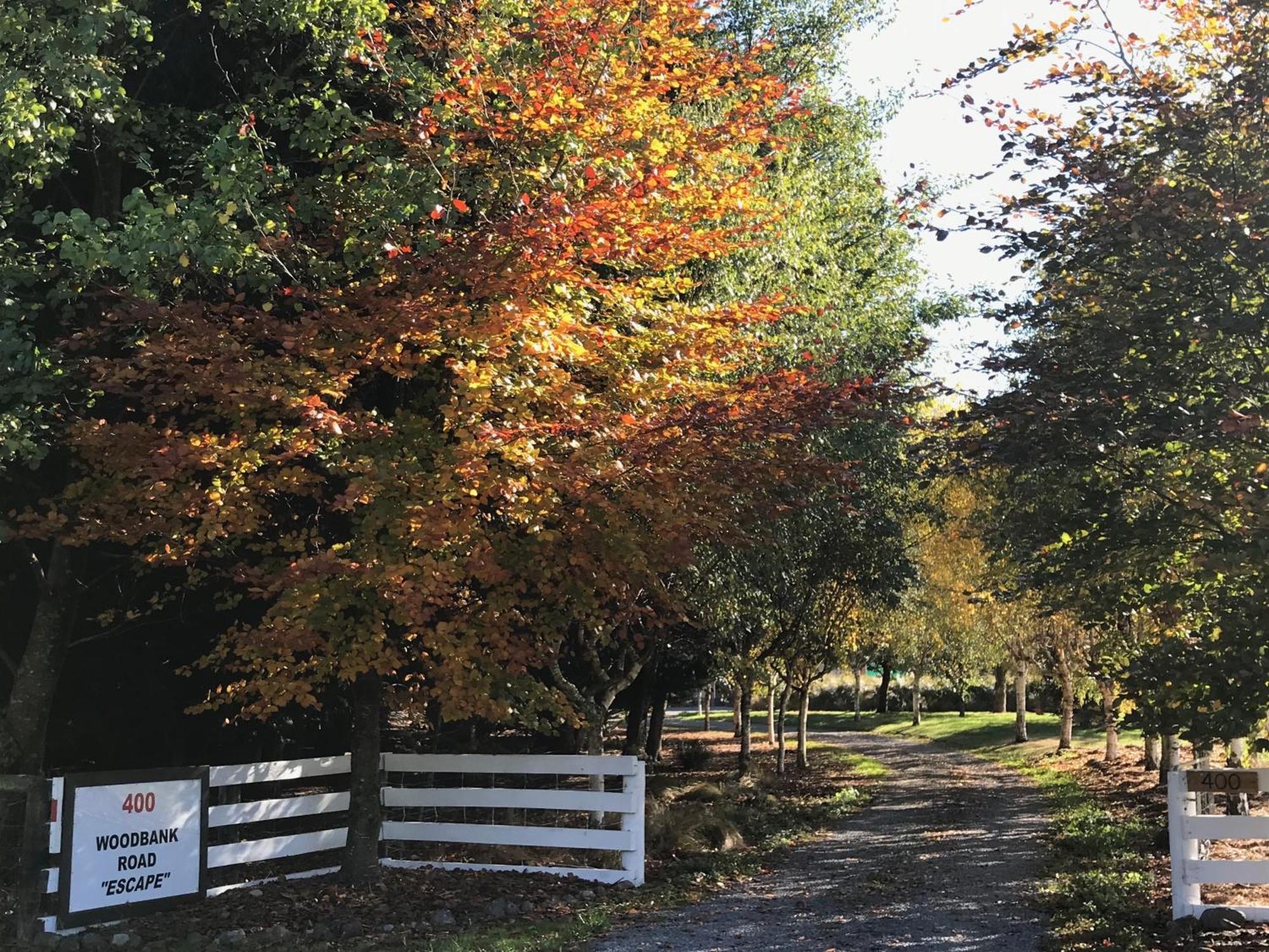 Woodbank Road Escape Villa Hanmer Springs Eksteriør bilde